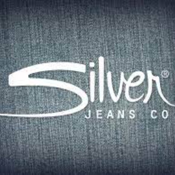 Silver Suki Surplus Cutoff Embellished Jean Shorts - Picture 13 of 13